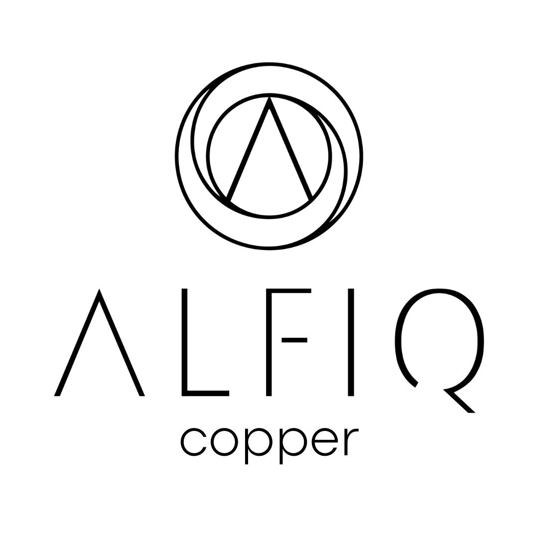 Alfiqs Store logo