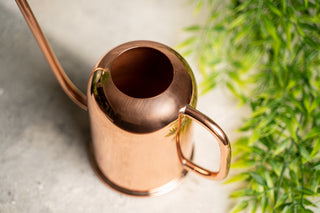 Solid Copper Indoor Watering Can – view 4