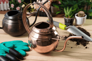 Handmade Patina Copper Watering Can | Artisan - Made Copper Planter Pot for Stylish Indoor & Outdoor Gardening - Alfiq's Store