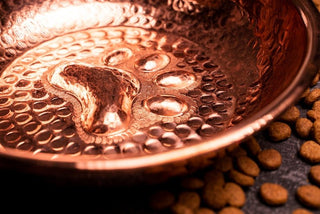Copper Pet Feeding Bowl Food Container | Handcrafted Stylish 100% Copper Pet Water Bowl 170 mm - Alfiq's Store