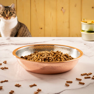 Handcrafted Small Copper Pet Bowl with Bone Motif – Hammered Finish - Alfiq's Store