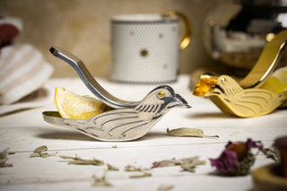 Handmade Stainless Steel Bird Lemon Squeezer | Stainless Steel Juicer 120x40x30mm - Limited Edition - Alfiq's Store