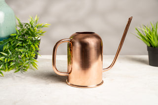 Solid Copper Indoor Watering Can